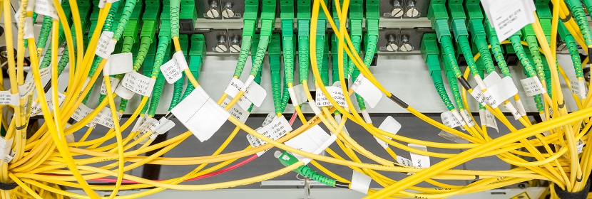 公共衛(wèi)生考研，這是最好的時期?。。?【2022為民實事系列評論】筑牢公共衛(wèi)生防護網(wǎng)，是須臾不可放松的大事 健明迪檢測