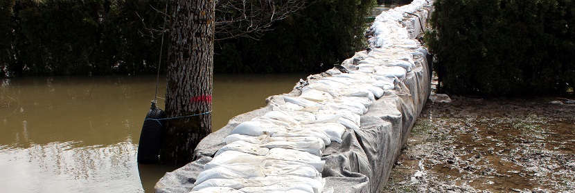 有機廢氣處理工程解析：以包裝印刷業(yè)為例