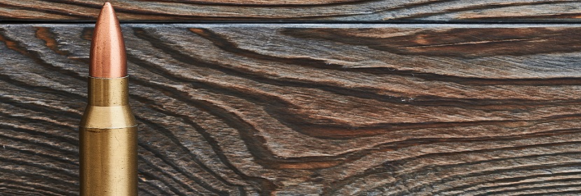 彈藥保護(hù)脂檢測