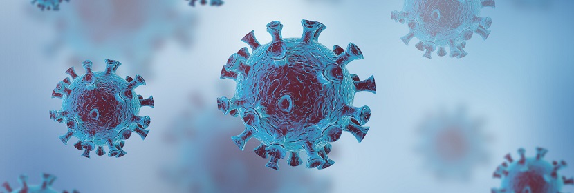 核酸清除試驗(yàn)